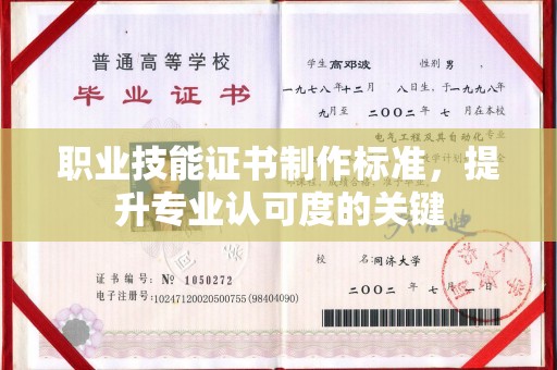 抚远职业技能证书制作标准，提升专业认可度的关键