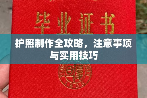 抚远护照制作全攻略，注意事项与实用技巧