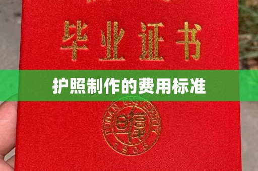 抚远护照制作的费用标准
