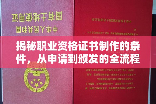 抚远揭秘职业资格证书制作的条件，从申请到颁发的全流程解析